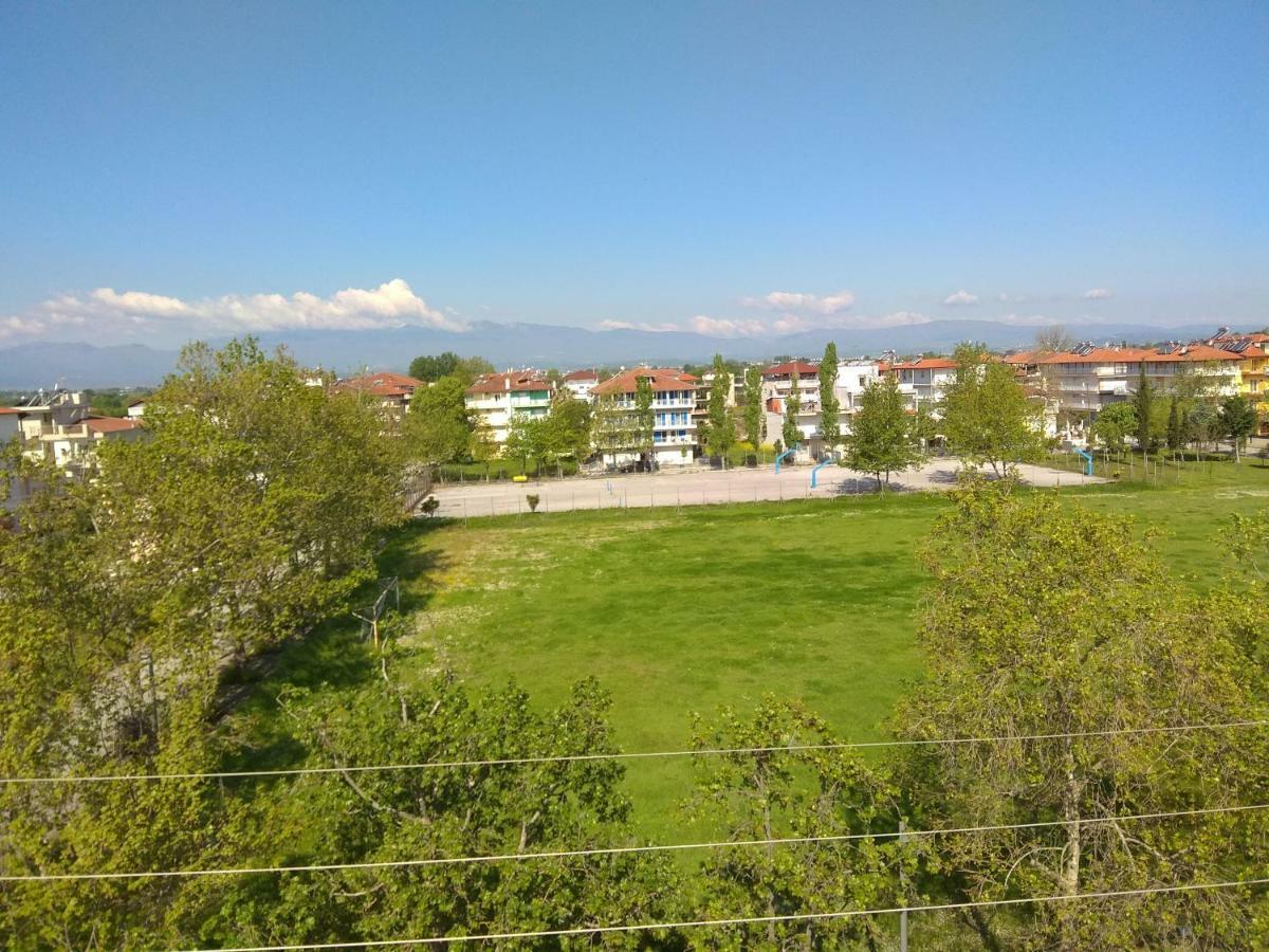 Villa Elli Olympiakí Aktí Kültér fotó
